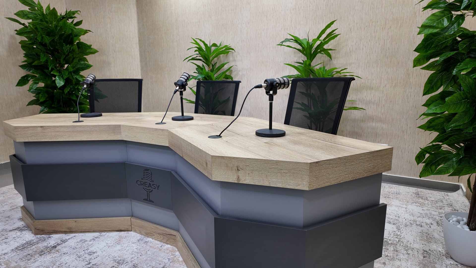 Sala Podcast Pro vista 2